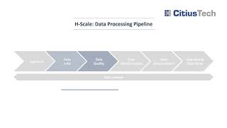 H Scale Healthcare Data Integration amp Management Platform [upl. by Atiuqrahc]