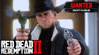 I Robbed Every Bank In Red Dead Redemption 2 [upl. by Nolos]