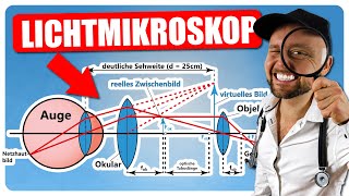 Lichtmikroskop  Aufbau Strahlengang numerische Apertur und Auflösung [upl. by Coffee833]