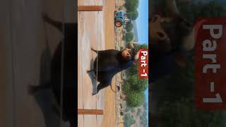 Ferdinand dance video Horses vs Bulls So 🤣🤣😝 edit dance comedy trailer part1 [upl. by Grefer]