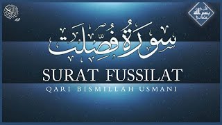 Surat Fussilat beautiful recitation القاری بسم اللّٰہ عثمانیتلاوة خاشعة ومؤثرة لصلاۃ العشاء [upl. by Grekin]