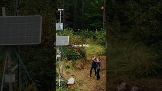 Erst Smartphone jetzt Smart Forest 🌳🤖 shorts Gigabitstrategie [upl. by Holmann431]