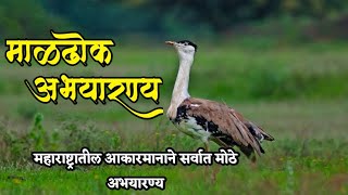 माळढोक अभयारण्यMaldhok Abhayaranyमहाराष्ट्रातील आकारमानाने सर्वात मोठे अभयारण्य [upl. by Bej]