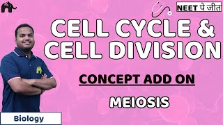 Cell Cycle and Cell Division Class 11 Biology NEET  Meiosis [upl. by Asirac]