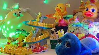 LET’S PLAY asmr asmrsounds asmrvideo satisfying toys duck cute relaxing play playtime [upl. by Uphemia887]