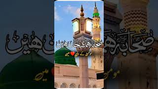 miri nabi ki sari ashab zinda bad New video naat sahref blewtafali naat video 2024 [upl. by Kennett]