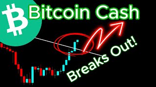 Bitcoin Cash BCH Crypto Coin Update [upl. by Sotsirhc55]