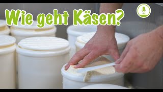 Käseherstellung erklärt Von der Kuh bis zum Käse [upl. by Yelloh]