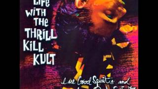 Thrill Kill Kult  Gateway To Hell [upl. by Reffotsirk]