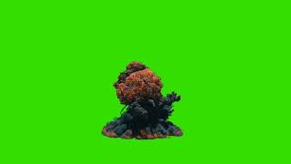 Green Screen Explosion [upl. by Janicki]