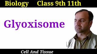 Glyoxisome  Structure and functions of Glyoxisome  Cell organelles  Class 9 and 11 [upl. by Letnahc499]