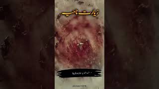 Ziarat Nahia  زیارت ناحیہ  سلام اس پر  شہید کر دیا گیا  nohay pioneer9416 [upl. by Ahsitram]