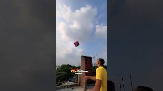 Super Looking Kites viralvideo kite kiteflying kitelover shorts [upl. by Nahtaneoj]