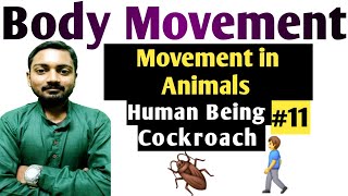 Class6 Science Guru  Chapter8  Movement in Animals  NCERT  CBSE  Biology  11 [upl. by Onil221]