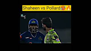 Big Fight Shaheen Afride vs Pollard PSL 8  LQ vs MS  PSL 8 highlights cricket shaheenafridi [upl. by Weisman]