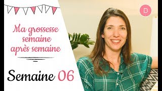 6ème semaine de grossesse – L’alimentation [upl. by Baylor]