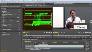 Tutorial Maximizing Brightness amp Contrast in Premiere Pro CS6 [upl. by Hagai]