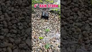 Transforming a Swampy Yard with an Outdoor Sump Pump System [upl. by Sarah518]