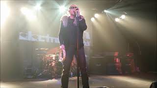 The Cult  Wildflower  Peace Dog Live Show Opening Electric Tour Brisbane 2013 [upl. by Livingstone]