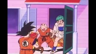 Dragonball Z Episode 1 recap toonami [upl. by Silletram]