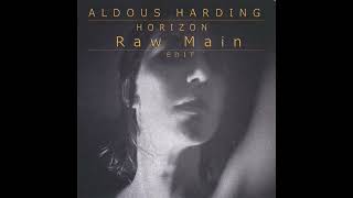 Aldous Harding  Horizon Raw Main Edit [upl. by Netsua]