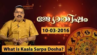 What is kala sarpa dosha  dosham   JYOTHISHAM 10 03 2016  Kaumudy TV [upl. by Yelad481]