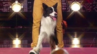 Supertalent 2013 Lukas Pratschker amp sein Border Collie quotDog Dancequot [upl. by Rodrigo]