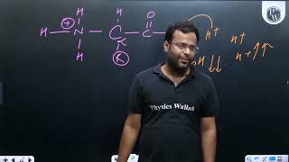 Given below are two statements StatementI Amino acids have a property of ionizable nature of [upl. by Moulton]