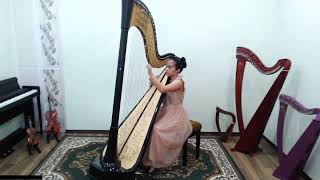 A Hasselmans  Petit Valse Vien Ignacio  11 year old harpist [upl. by Okim20]