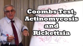 Coombs Test Actinomycosis and Rickettsia [upl. by Ayamat604]