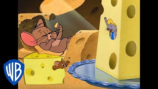 Tom y Jerry en Español  ¡Patata  WB Kids [upl. by Sisto]