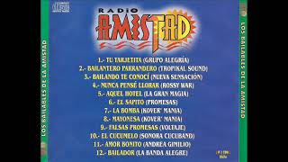 Los Bailables De La Radio Amistad  Varios Artistas  2001 [upl. by Yorgos175]