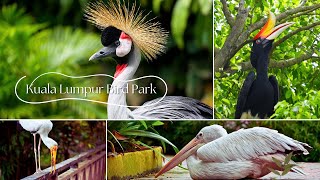 Cinematic Tour of 🇲🇾 KL Bird Park  2024  4K  With Bird Names [upl. by Ical962]