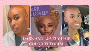 Dark and Lovely Light Golden Blonde Hair Color Tutorial [upl. by Eleahcim]