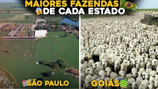 MAIOR FAZENDA DE CADA ESTADO BRASILEIRO  INCRÍVEL [upl. by Holihs]