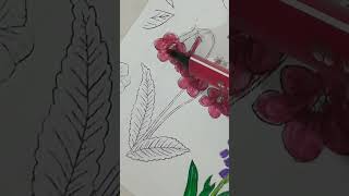 why pink looks so dull 😭 shorts ytshorts flowers coloring painting sketching art sajnire [upl. by Legir]