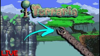 🔥🔴 FACE REVEAL FOR THE 50TH TIME  TERRARIA MASTER MODE PLAYTHROUGH  TRUMP 2024 🔴🔥 [upl. by Yalonda]