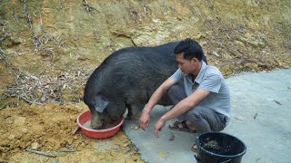 3 Steps to Working on a Farm Day  Luu Linh Family [upl. by Dyche]