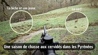 Une saison de chasse aux cervidés dans les Pyrénées  Saison 2 [upl. by Krissy297]