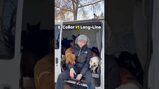 Exploring the pros and cons of ecollars vs longline leashes dog dogleash dogtraining [upl. by Nikki58]