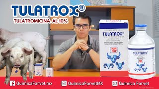 Cómo Combatir la Neumonía en Cerdos Descubre el Medicamento Más Eficaz  TULATROX [upl. by Fiora]