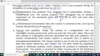 272  oxidation of odd chain fatty acid propionyl coA metabolism defects vitamin B12 deficiency10 [upl. by Lananna]