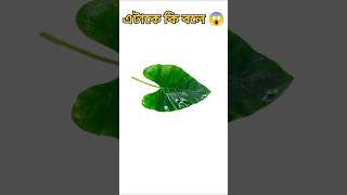 এটাকে কি বলে।। Guess the vegetable names 🤔 youtubeshorts english [upl. by Onitnatsnoc]