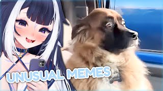 Shylily Reacts to UNUSUAL MEMES compilations losing it laughing at funny videos [upl. by Lenhard]