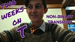 Starting LowDose Testosterone NonBinary Transition [upl. by Anastassia799]