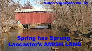 Lancasters AMISH LandKnocking on SPRINGS DOOROUT and ABOUT Video Vignettes No 63 [upl. by Rivers]