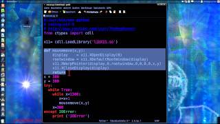 python  C Libary  Mouse X11 [upl. by Chew]