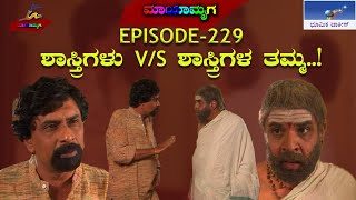 Mayamruga Episode 229 T N Seetharam  P Sheshadhri  Nagendhra Sha [upl. by Vicki]