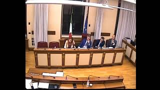 2 Commissione Covid 19 Audizione Associazione Sereni e sempre uniti [upl. by Aneres]