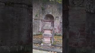 Walks in Germany Heidelberg castle and garden BadenWürttemberg tramtour travel castle tram [upl. by Margaret710]